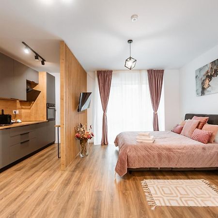 Alpine Line Studio Sinaia Zewnętrze zdjęcie